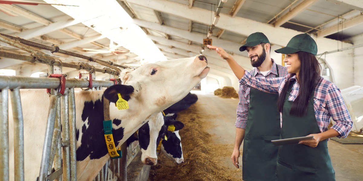 Aprovechamiento de la tecnología RFID para la gestión de la agricultura de precisión.