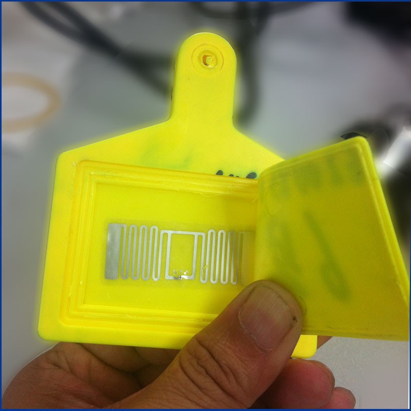 Etiquetas RFID UHF de alta calidad para orejas de animales JT-307